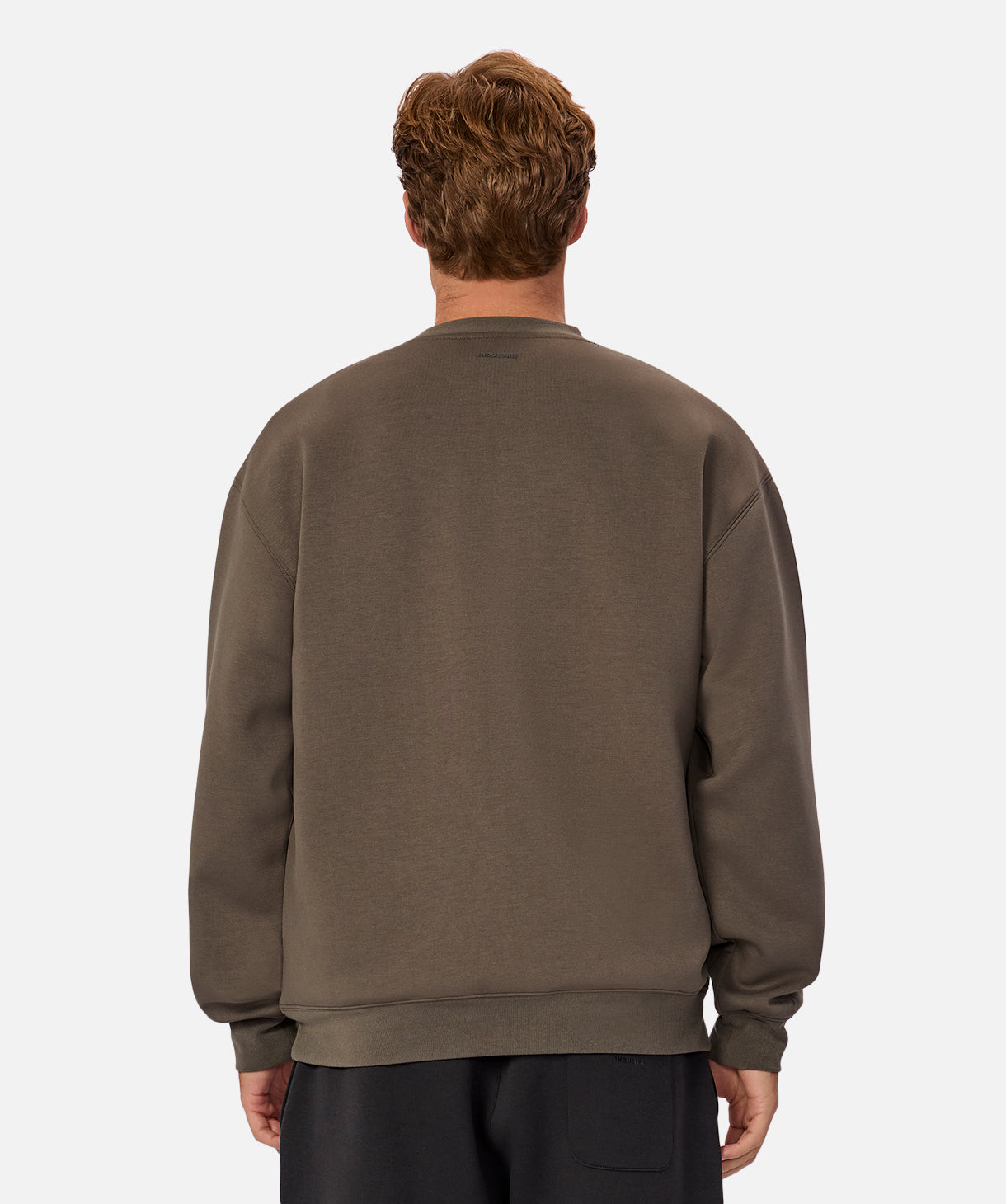 The Tech Del Sur Sweat - Bay Leaf