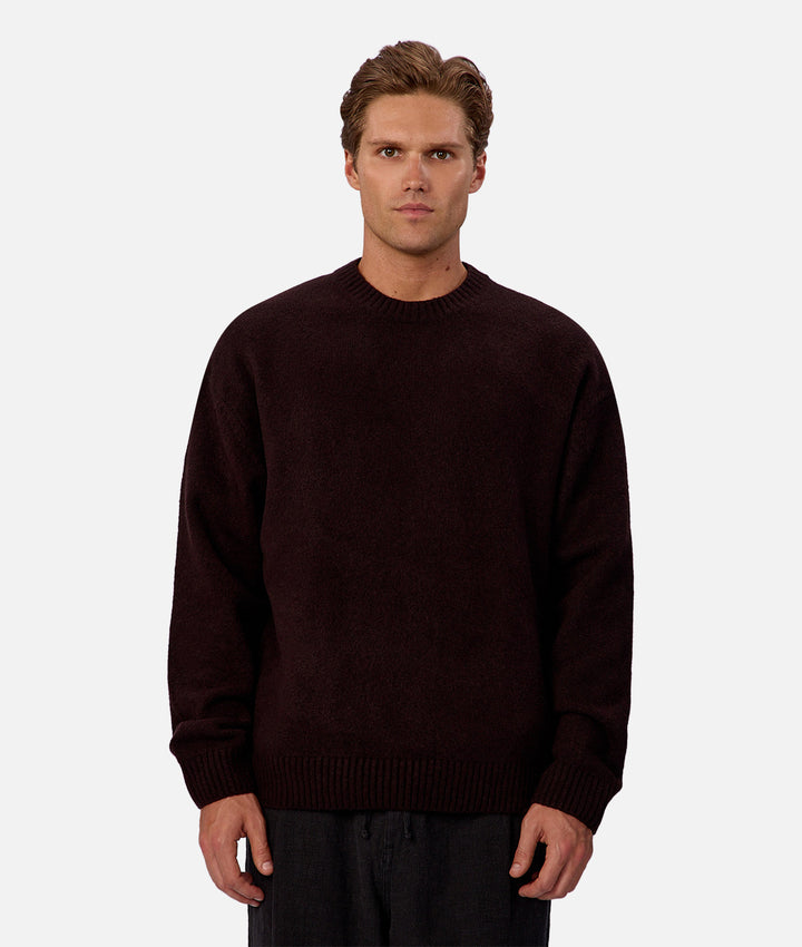 Man wearing a dark brown sweater against a plain background